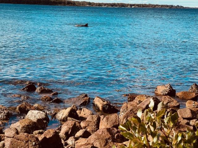 Tranquil Escape - Koala Hotspot - 2 Bed 2 Bath Apt Spectacular Sea Views Soldiers Point Zewnętrze zdjęcie